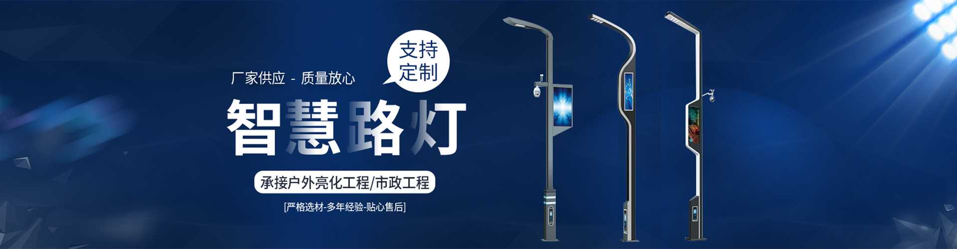 蔡甸区太阳能路灯定制厂家