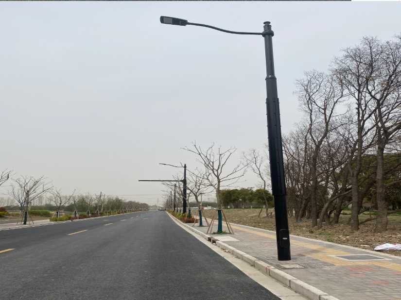 蔡甸区上海综合杆 太阳能路灯工程
